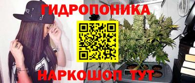 ГАЛЛЮЦИНОГЕННЫЕ ГРИБЫ Пушкино