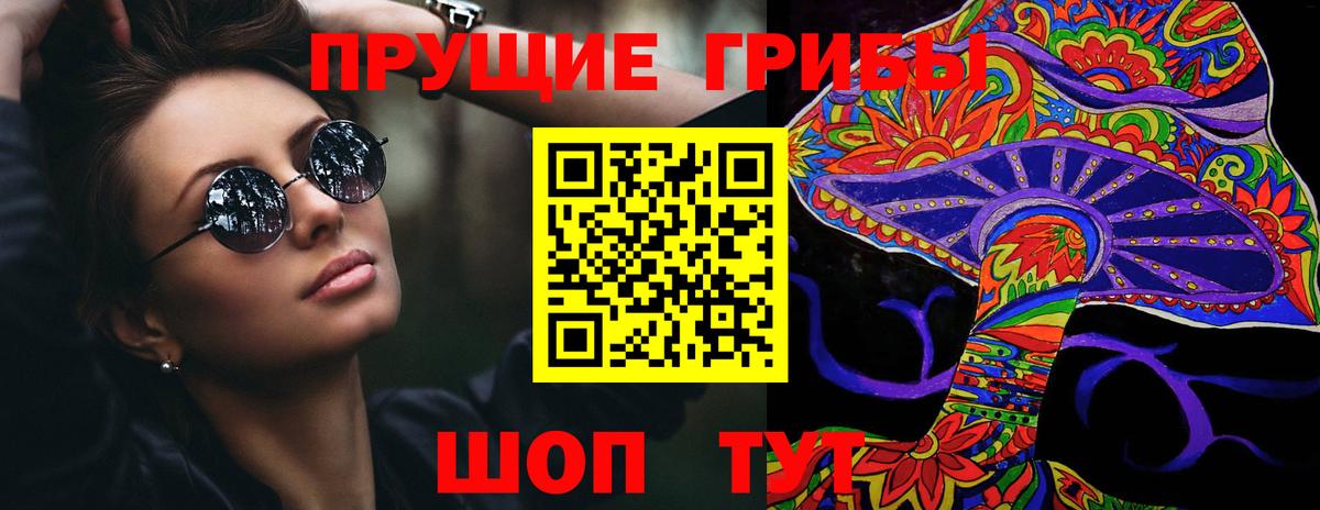 Псилоцибиновые грибы мицелий Скопин