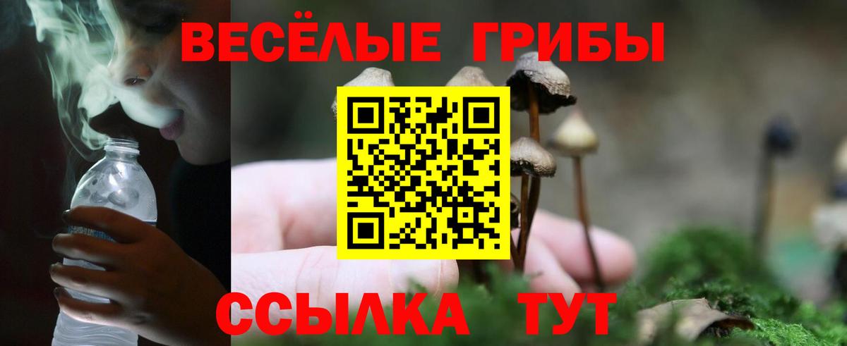 Галлюциногенные грибы Psilocybe  Вход с VPN  Скопин 
